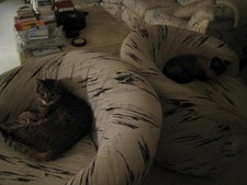 Enlarge photo 6