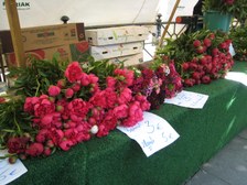 Enlarge photo 41