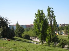Enlarge photo 11
