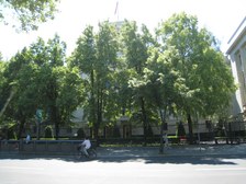 Enlarge photo 38