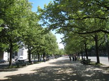 Enlarge photo 39
