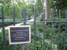 Enlarge photo 21