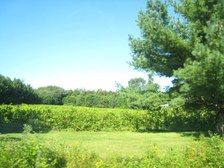 Enlarge photo 18