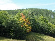 Enlarge photo 76