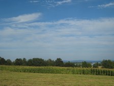 Enlarge photo 98