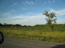 Enlarge photo 104