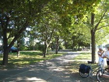 Enlarge photo 46