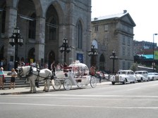 Enlarge photo 39