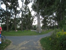 Enlarge photo 50