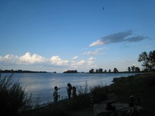 Enlarge photo 51