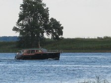 Enlarge photo 52