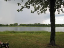 Enlarge photo 54
