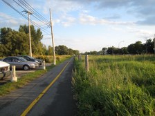 Enlarge photo 56