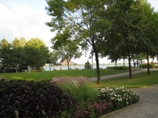 Enlarge photo 58