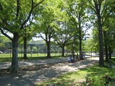 Enlarge photo 29