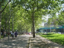 Enlarge photo 39