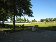 Enlarge photo 35