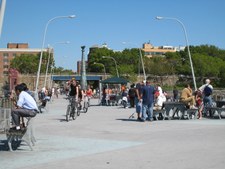 Enlarge photo 38
