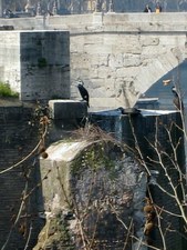 Enlarge photo 17