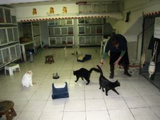 Enlarge photo 5