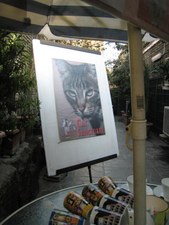 Enlarge photo 4