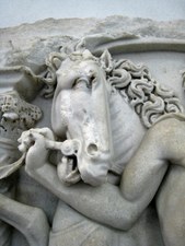 Enlarge photo 25