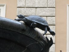 Enlarge photo 36