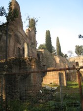 Enlarge photo 30