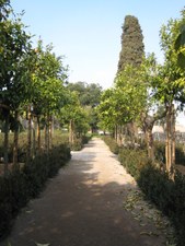 Enlarge photo 34