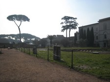 Enlarge photo 38