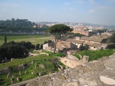 Enlarge photo 43