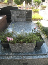 Enlarge photo 45