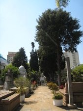 Enlarge photo 50