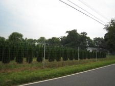 Enlarge photo 3