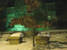 Enlarge photo 37