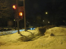 Enlarge photo 42