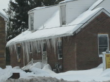 Enlarge photo 45
