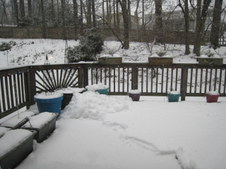 Enlarge photo 1