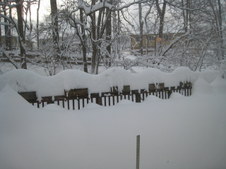 Enlarge photo 46