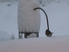 Enlarge photo 23
