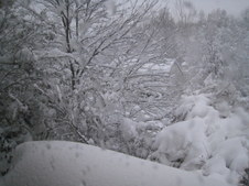 Enlarge photo 29
