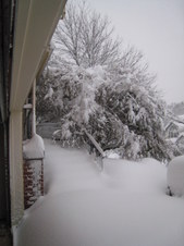 Enlarge photo 34