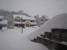 Enlarge photo 36