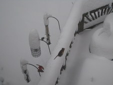 Enlarge photo 37