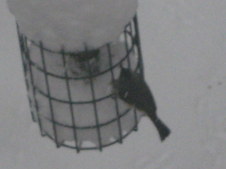 Enlarge photo 40