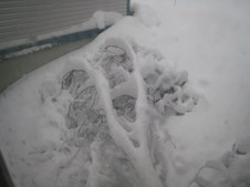 Enlarge photo 43