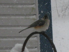 Enlarge photo 44