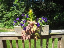 Enlarge photo 5