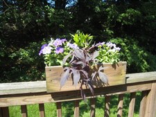 Enlarge photo 7