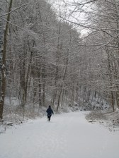 Enlarge photo 13